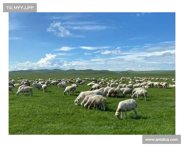 呼伦贝尔草原生态保护条例实施推动赛事用车全电动化助力绿色发展 呼伦贝尔草原生态保护条例实施推动赛事用车全电动化助力绿色发展